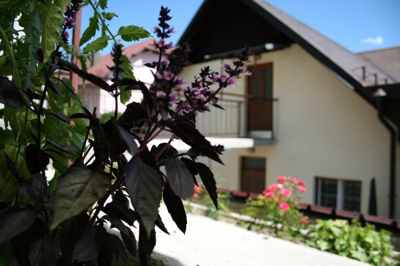 Apartma Center Bovec Zewnętrze zdjęcie